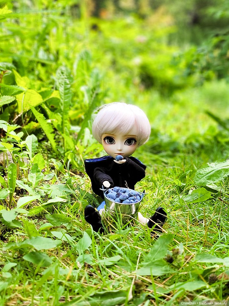 Куклы Pullip (Пуллип)
