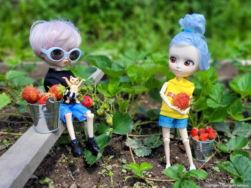 Куклы Pullip (Пуллип)
