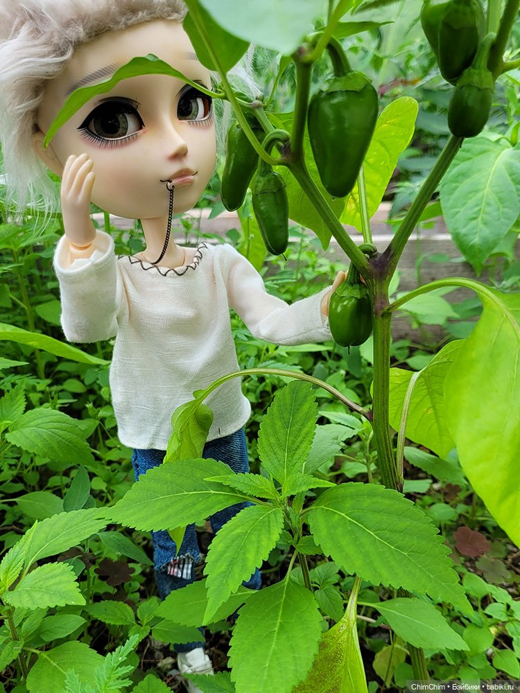Куклы Pullip (Пуллип)