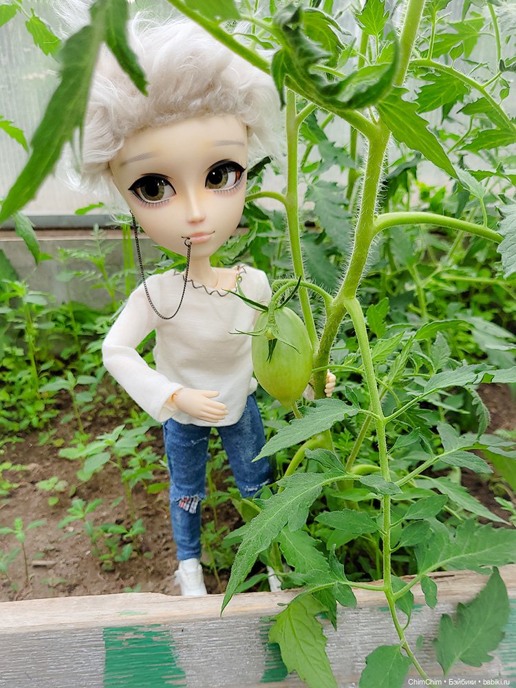 Куклы Pullip (Пуллип)