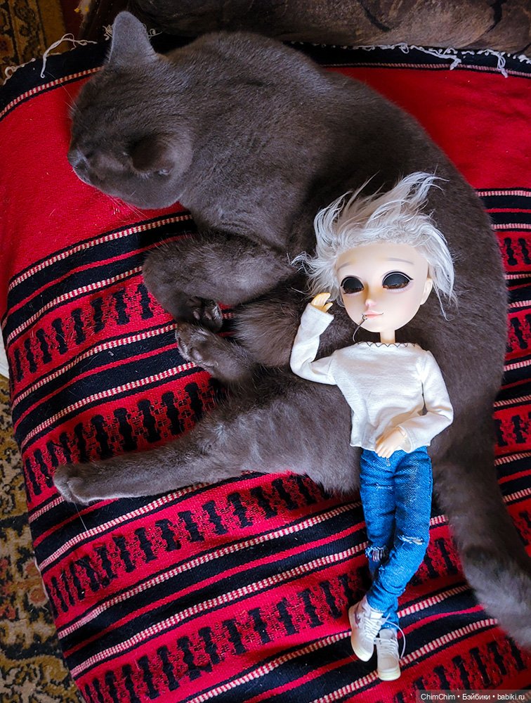 Куклы Pullip (Пуллип)