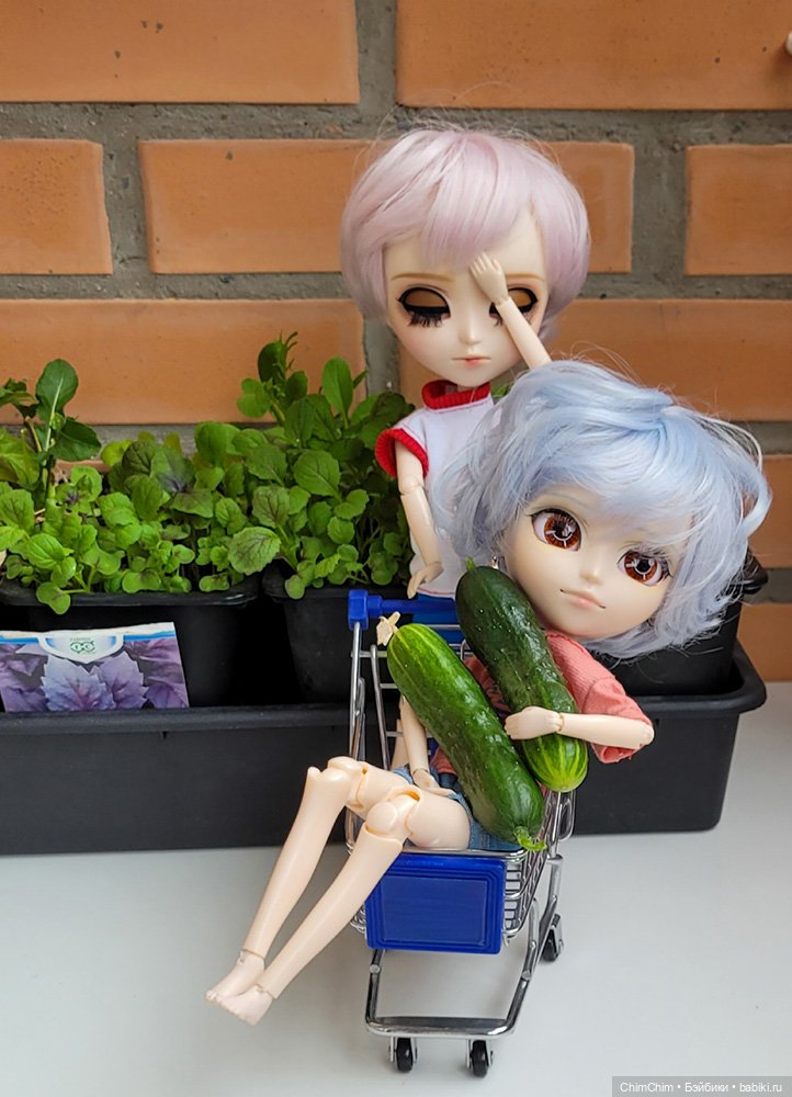 Маленькие агрономы — Куклы Pullip (Пуллип)