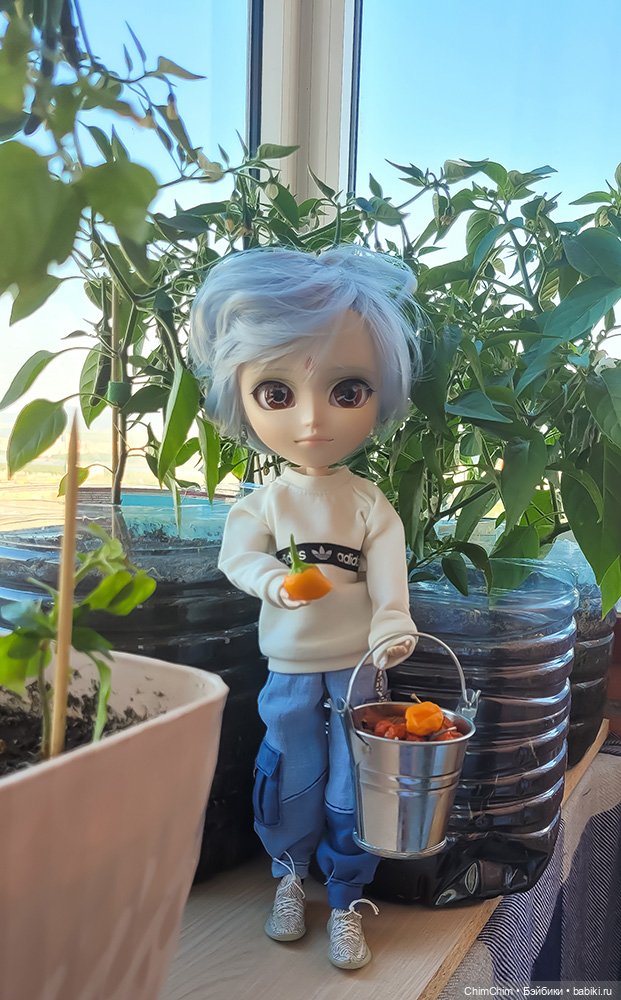 Маленькие агрономы — Куклы Pullip (Пуллип)