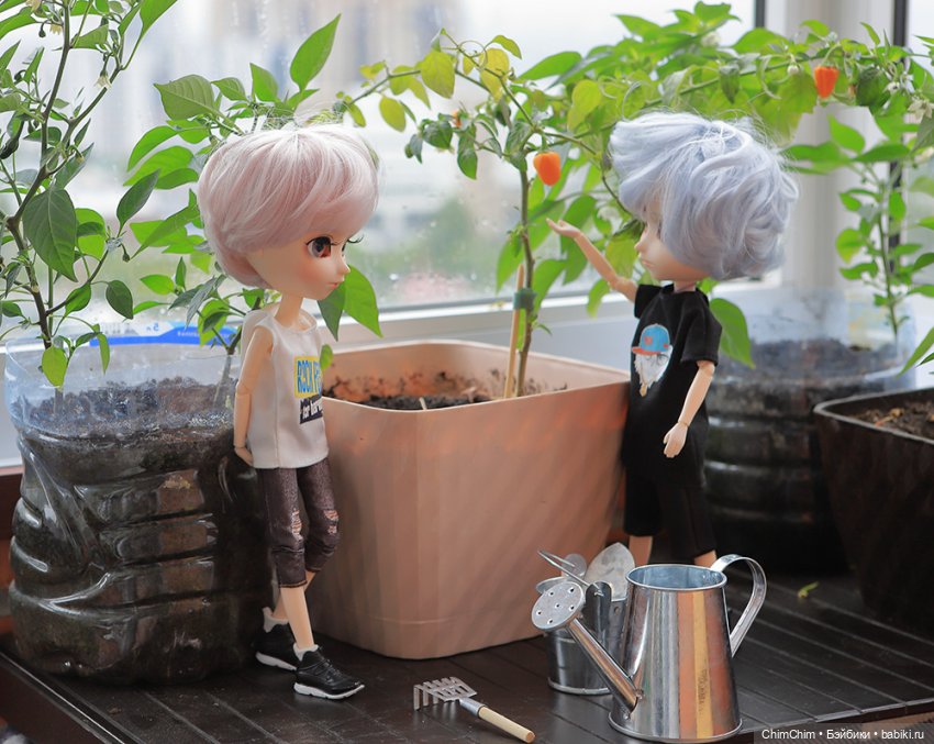 Маленькие агрономы — Куклы Pullip (Пуллип) (фото 8)