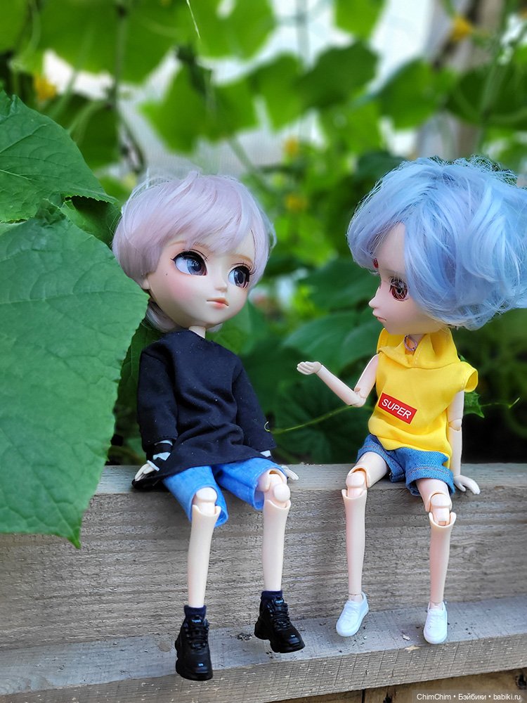 Маленькие агрономы — Куклы Pullip (Пуллип)