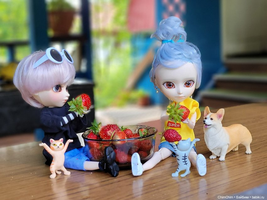 Маленькие агрономы — Куклы Pullip (Пуллип)