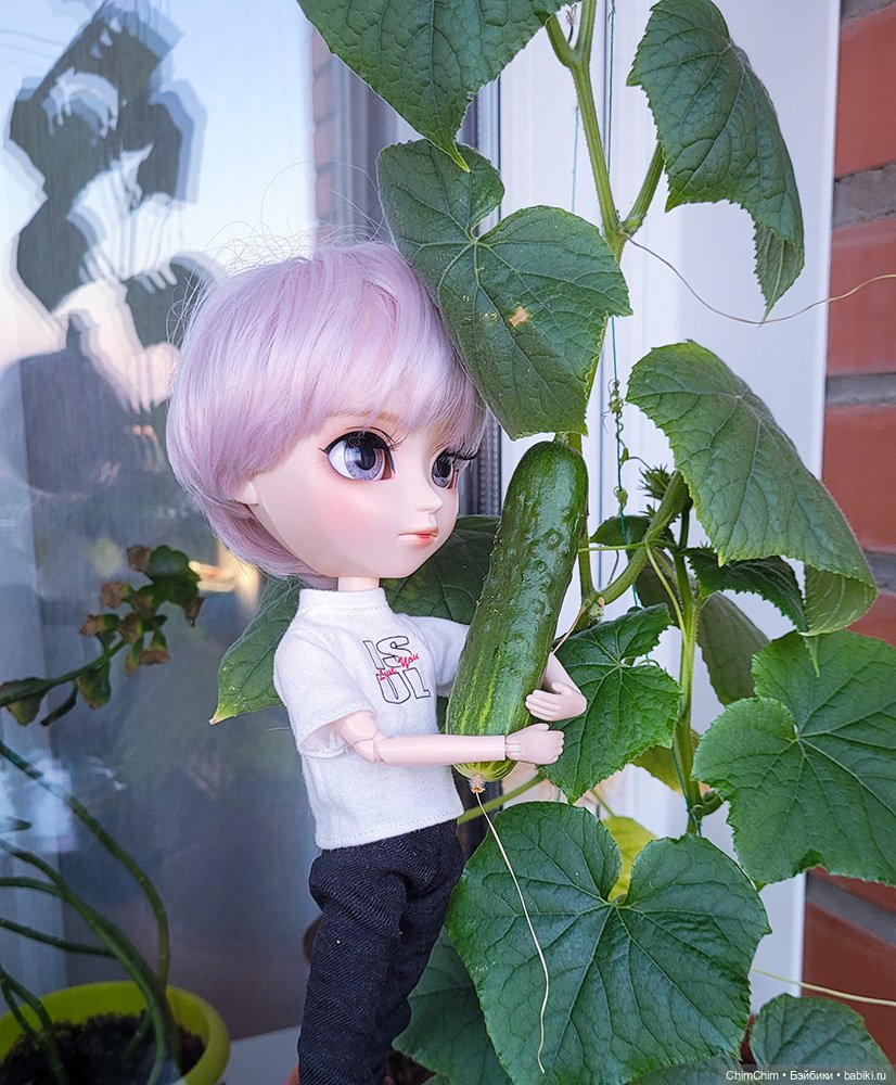 Маленькие агрономы — Куклы Pullip (Пуллип)