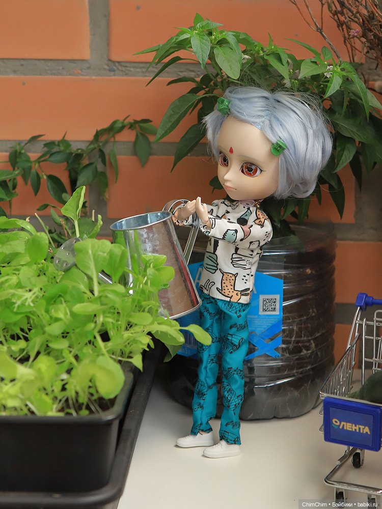 Маленькие агрономы — Куклы Pullip (Пуллип)