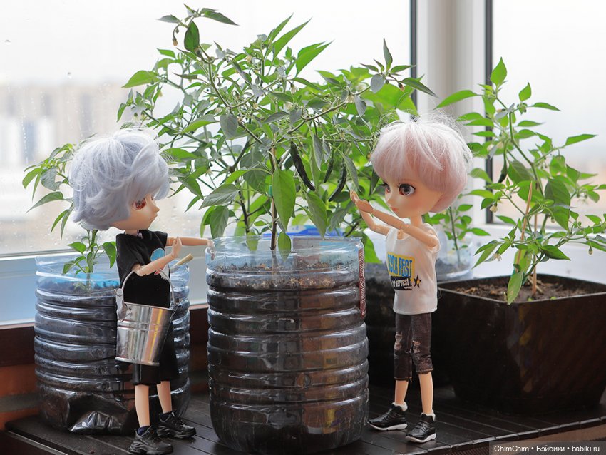 Маленькие агрономы — Куклы Pullip (Пуллип) (фото 7)