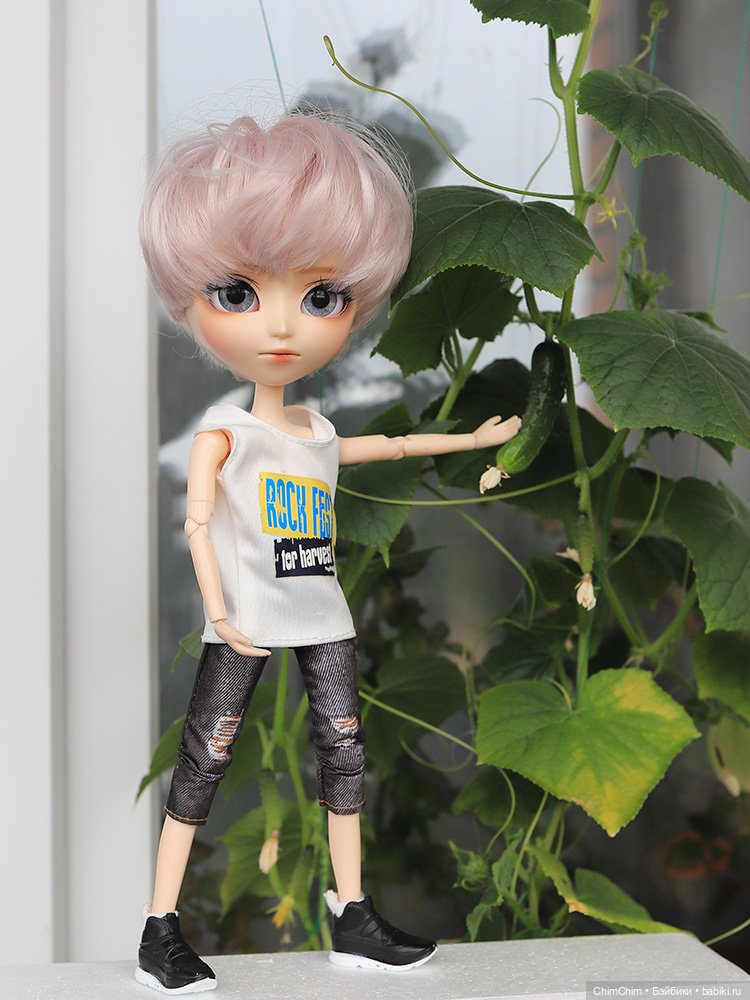 Маленькие агрономы — Куклы Pullip (Пуллип) (фото 10)