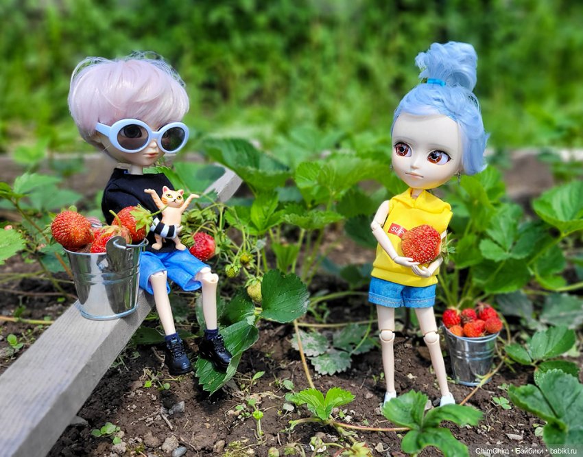 Маленькие агрономы — Куклы Pullip (Пуллип)