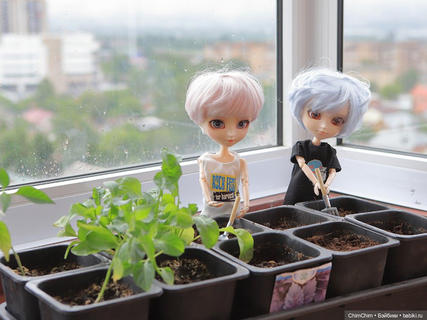 Маленькие агрономы — Куклы Pullip (Пуллип) (фото 2)