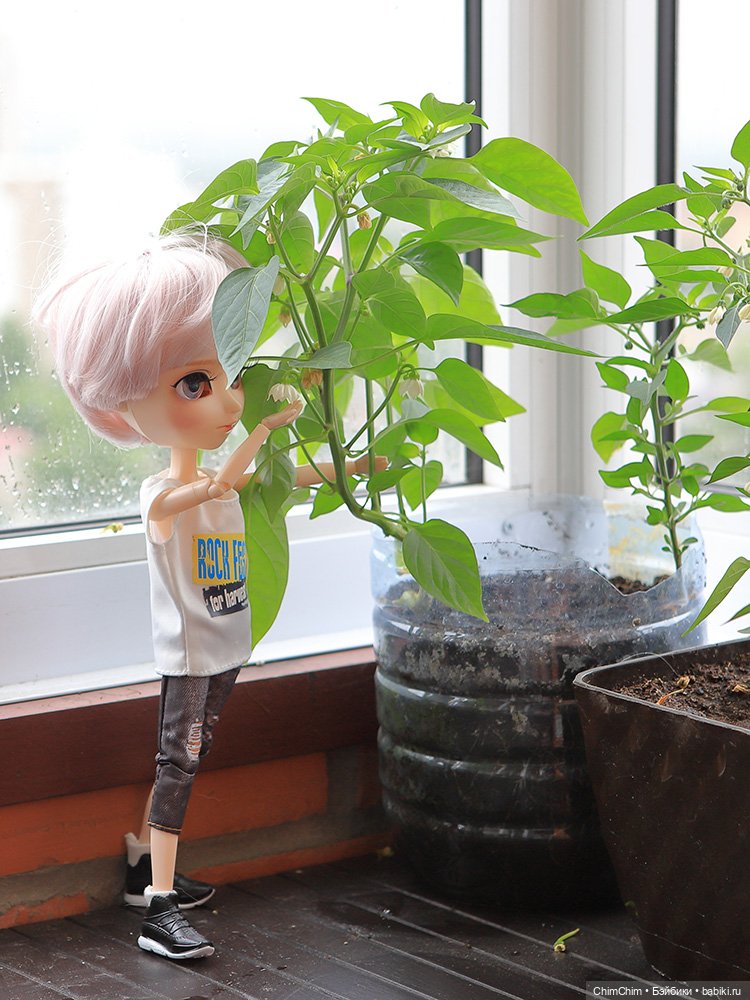 Маленькие агрономы — Куклы Pullip (Пуллип) (фото 6)