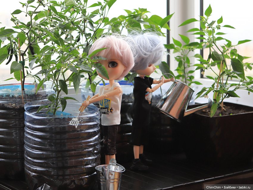 Маленькие агрономы — Куклы Pullip (Пуллип) (фото 4)