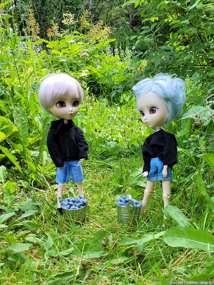 Маленькие агрономы — Куклы Pullip (Пуллип)