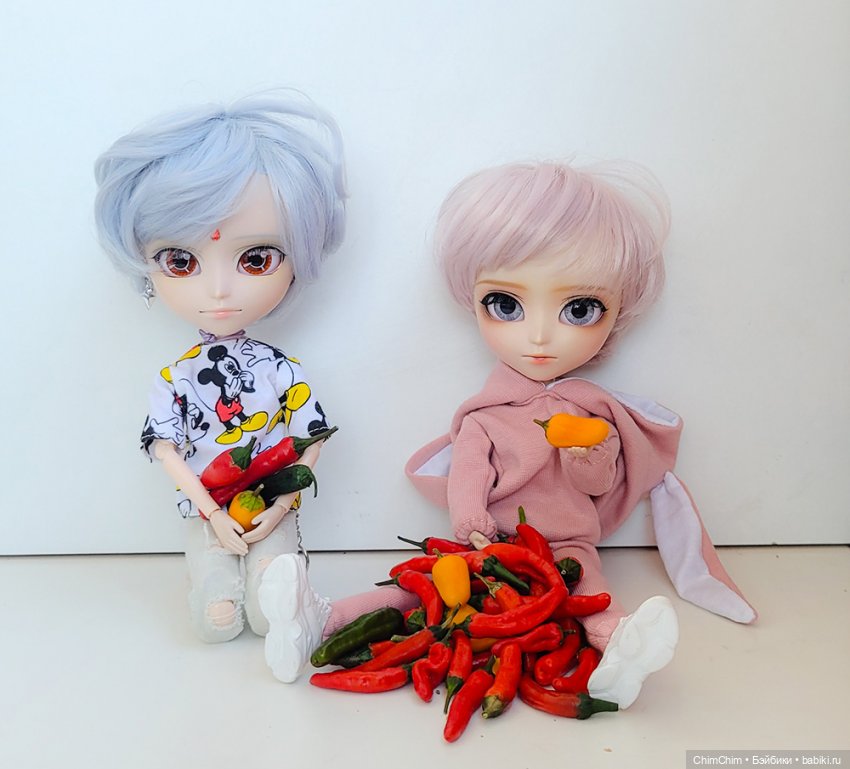 Маленькие агрономы — Куклы Pullip (Пуллип)