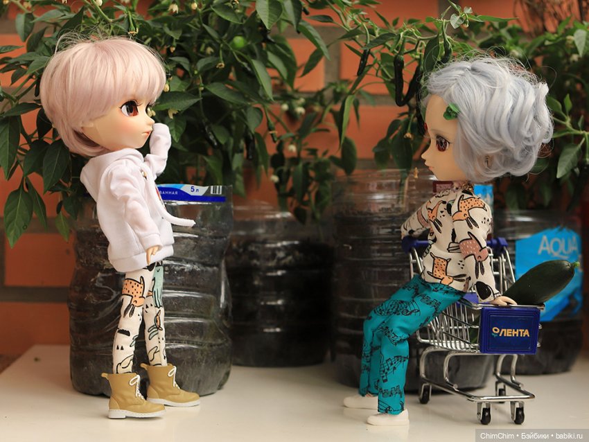 Маленькие агрономы — Куклы Pullip (Пуллип)