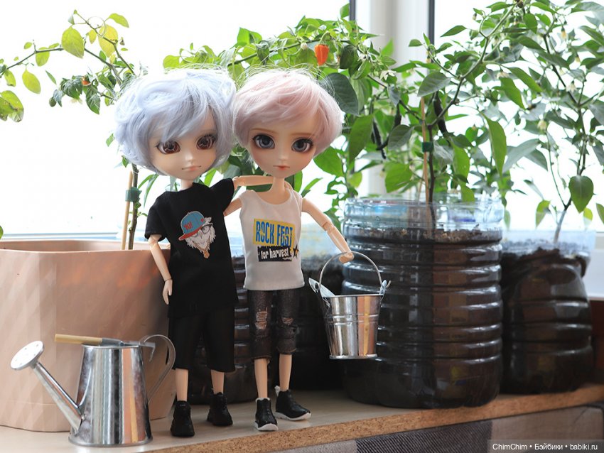 Маленькие агрономы — Куклы Pullip (Пуллип)