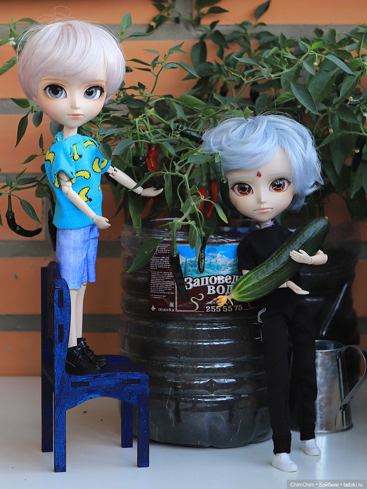 Маленькие агрономы — Куклы Pullip (Пуллип)