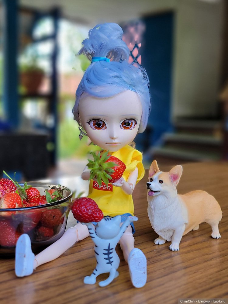 Маленькие агрономы — Куклы Pullip (Пуллип)