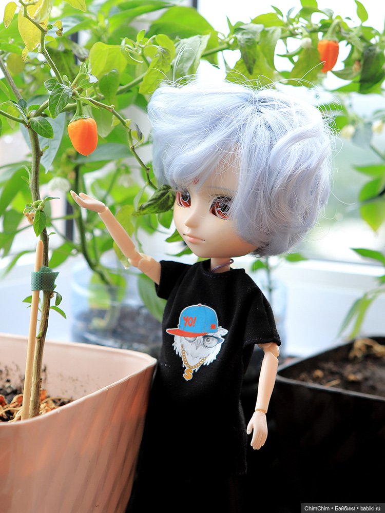 Маленькие агрономы — Куклы Pullip (Пуллип) (фото 9)