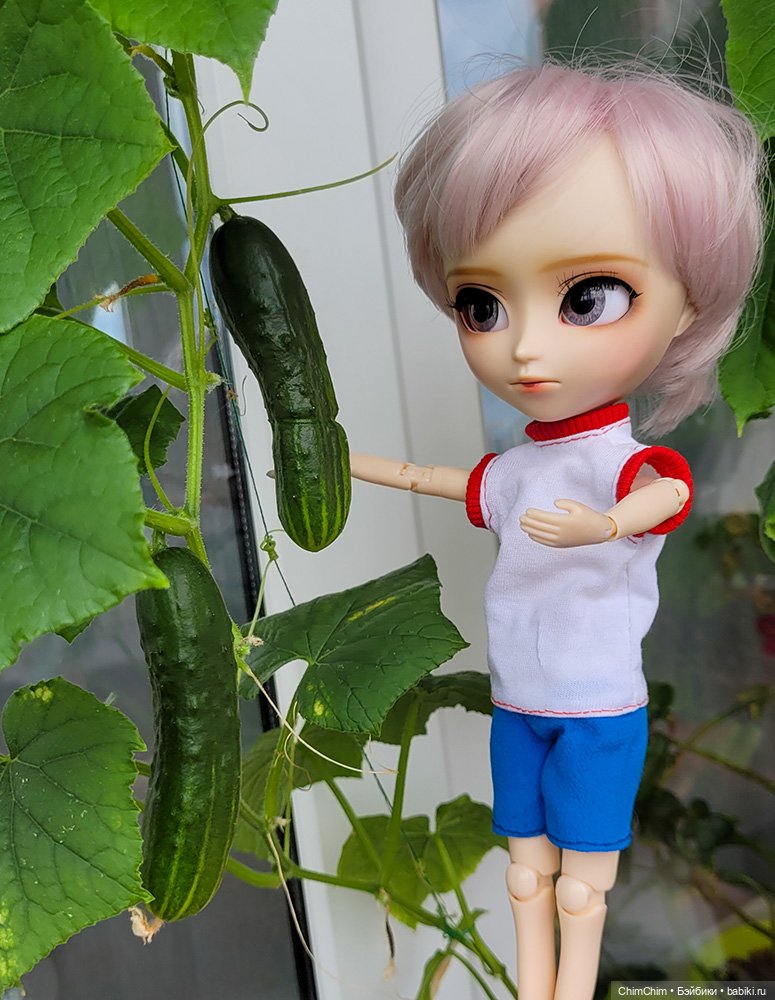 Маленькие агрономы — Куклы Pullip (Пуллип)