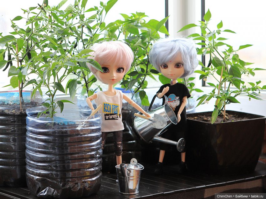 Маленькие агрономы — Куклы Pullip (Пуллип) (фото 5)