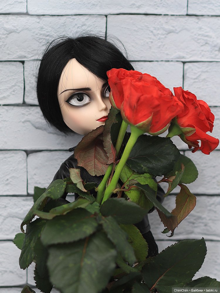 Кошачий король Taeyang Atsushi Sakurai