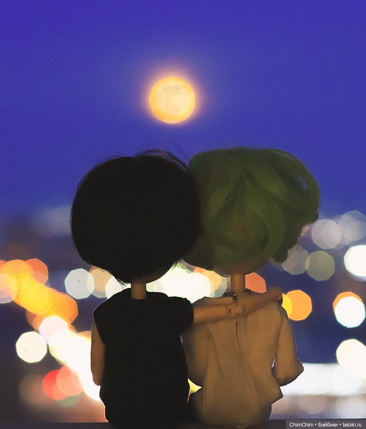 Кошачий король Taeyang Atsushi Sakurai