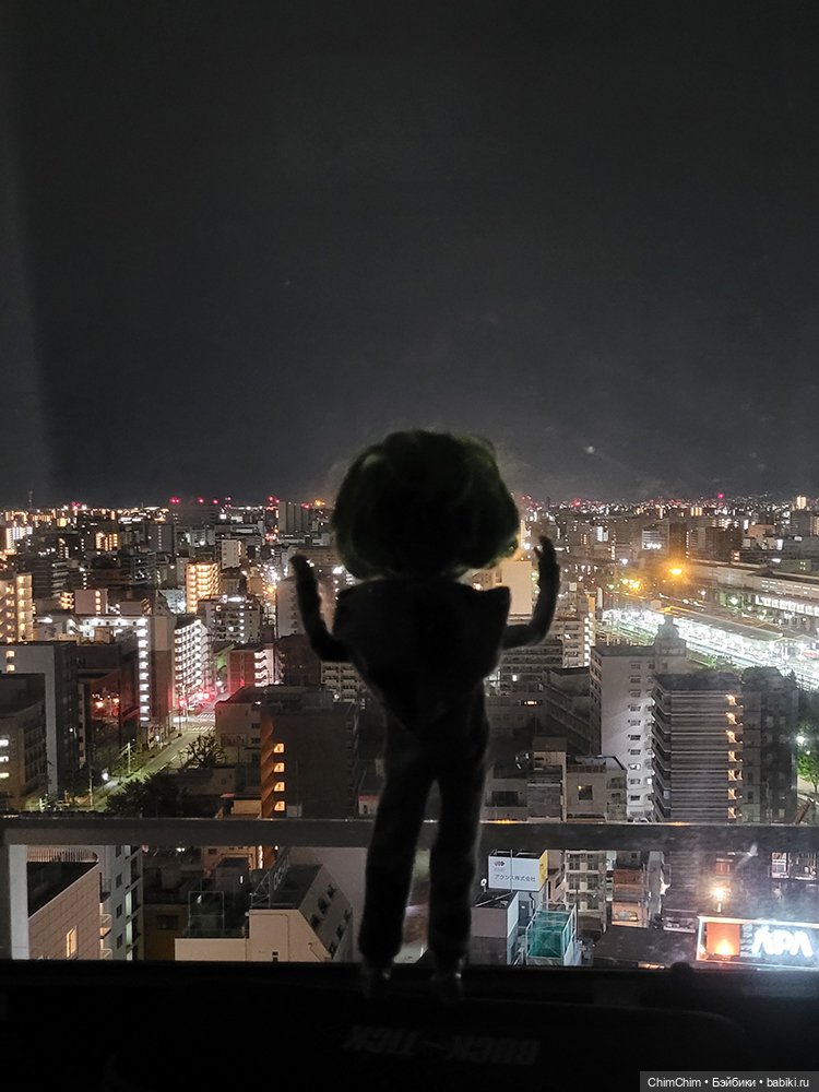 Как господин Имаи ездил в Японию за господином Сакураи (фото 10)