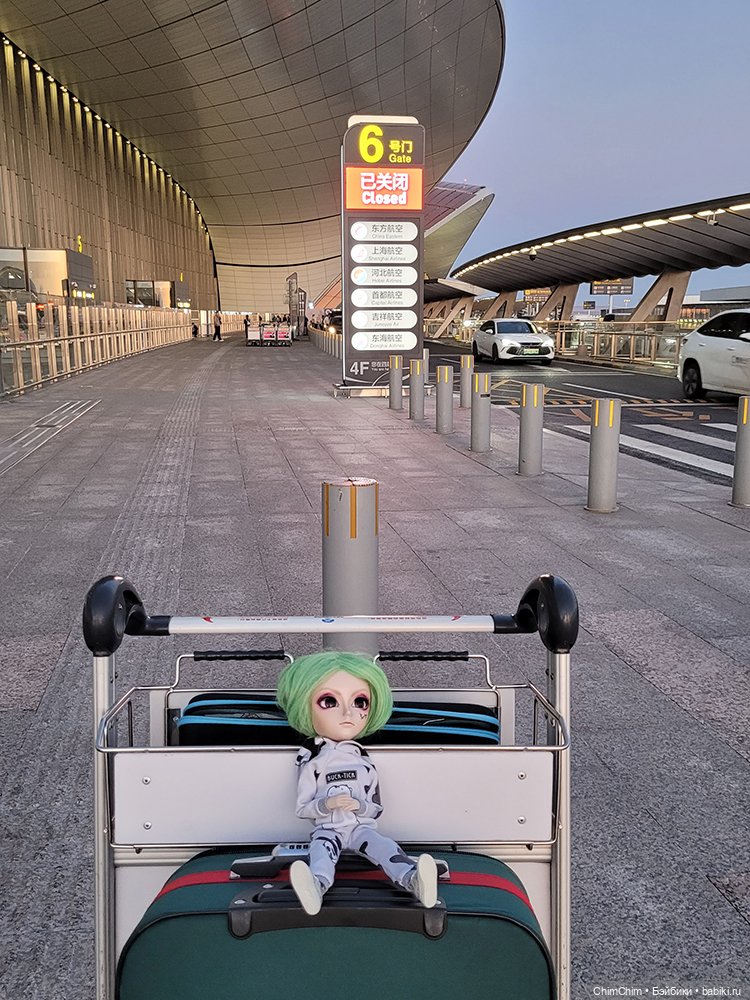 Как господин Имаи ездил в Японию за господином Сакураи (фото 2)