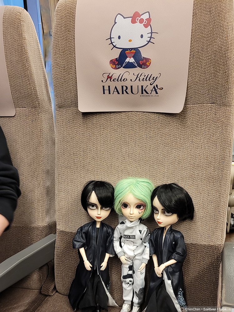 Как господин Имаи ездил в Японию за господином Сакураи (фото 8)