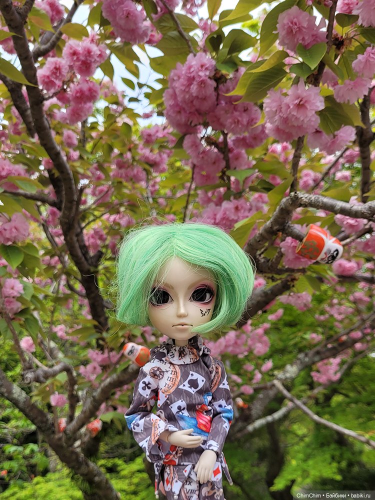 Как господин Имаи ездил в Японию за господином Сакураи