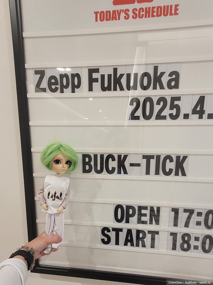 Как господин Имаи ездил в Японию за господином Сакураи