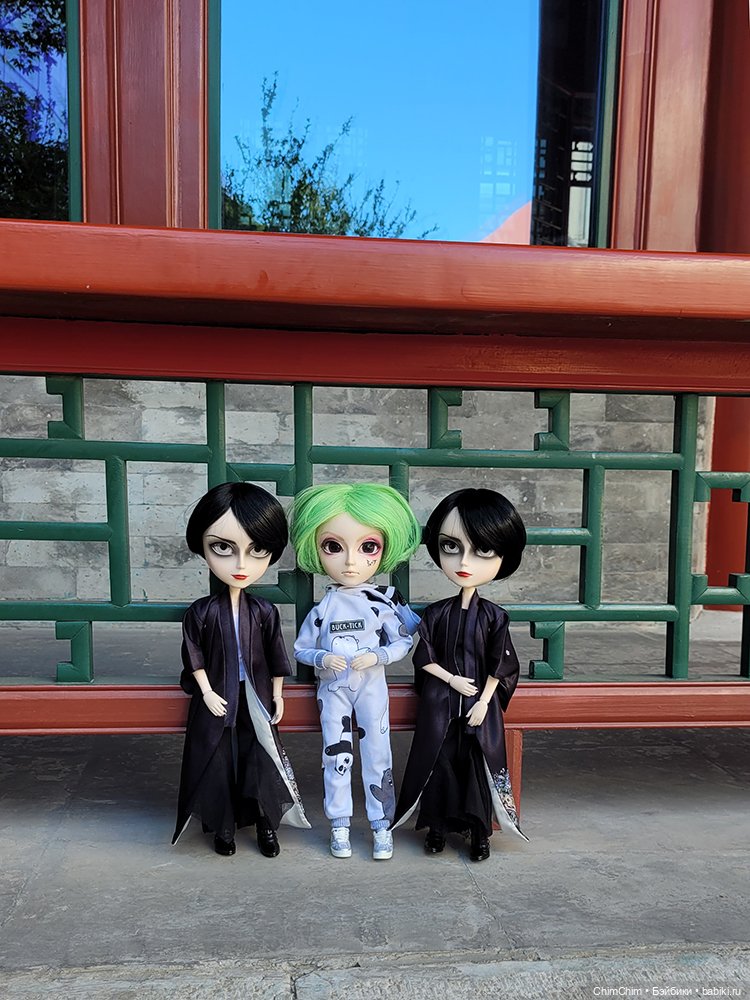 Как господин Имаи ездил в Японию за господином Сакураи (фото 6)