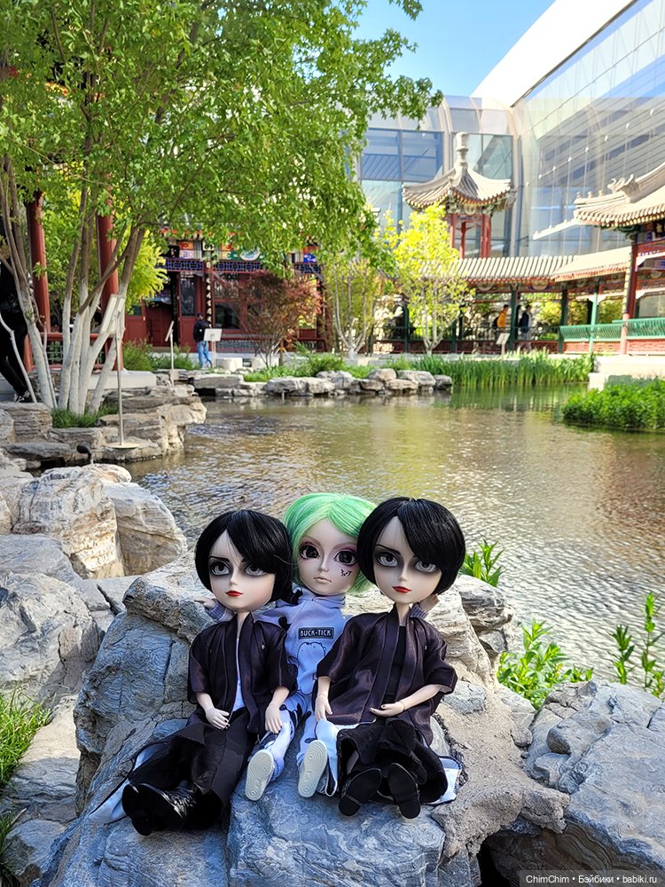 Как господин Имаи ездил в Японию за господином Сакураи (фото 5)