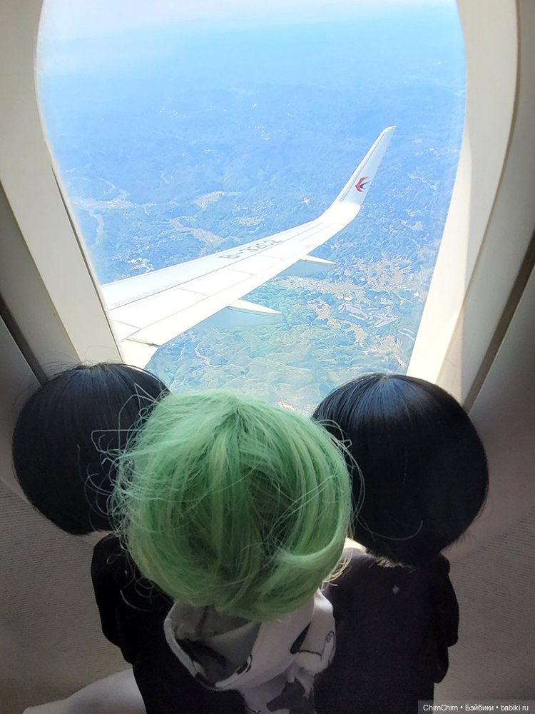 Как господин Имаи ездил в Японию за господином Сакураи (фото 7)