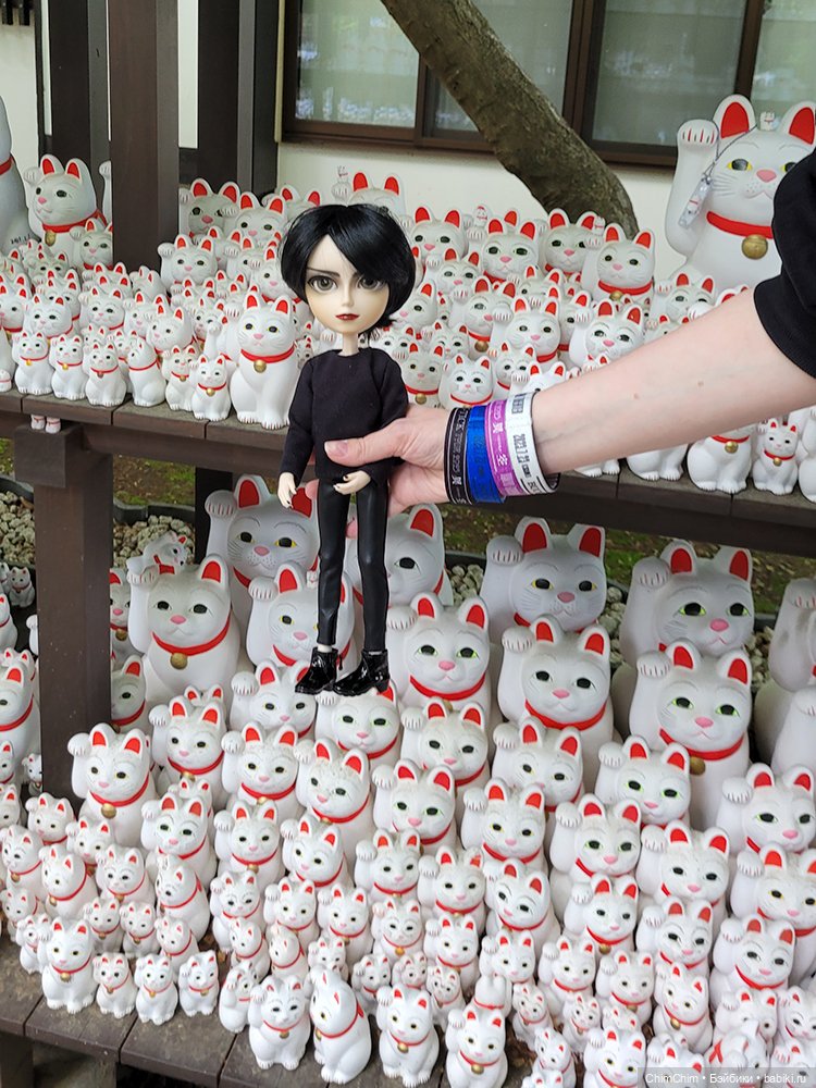 Как господин Имаи ездил в Японию за господином Сакураи. Часть 2