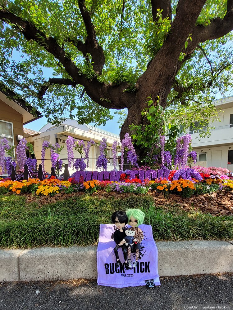 Как господин Имаи ездил в Японию за господином Сакураи. Часть 2 (фото 7)