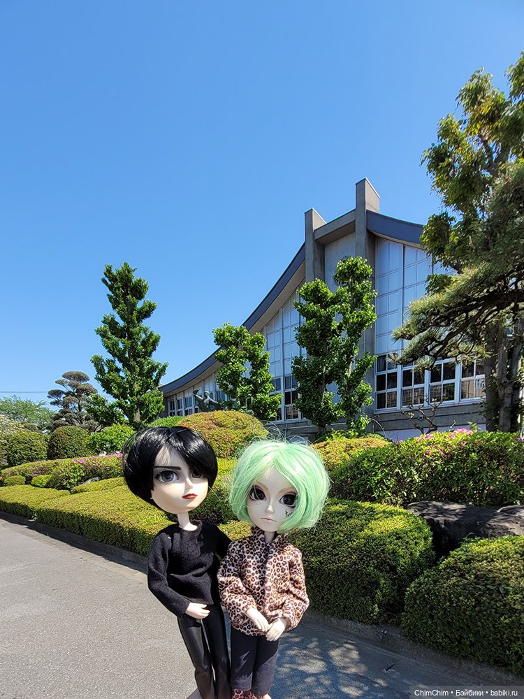 Как господин Имаи ездил в Японию за господином Сакураи. Часть 2 (фото 5)