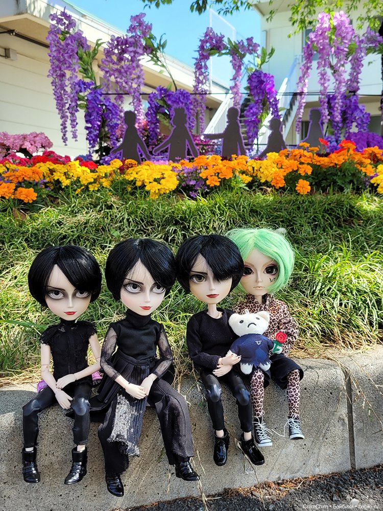 Как господин Имаи ездил в Японию за господином Сакураи. Часть 2 (фото 6)