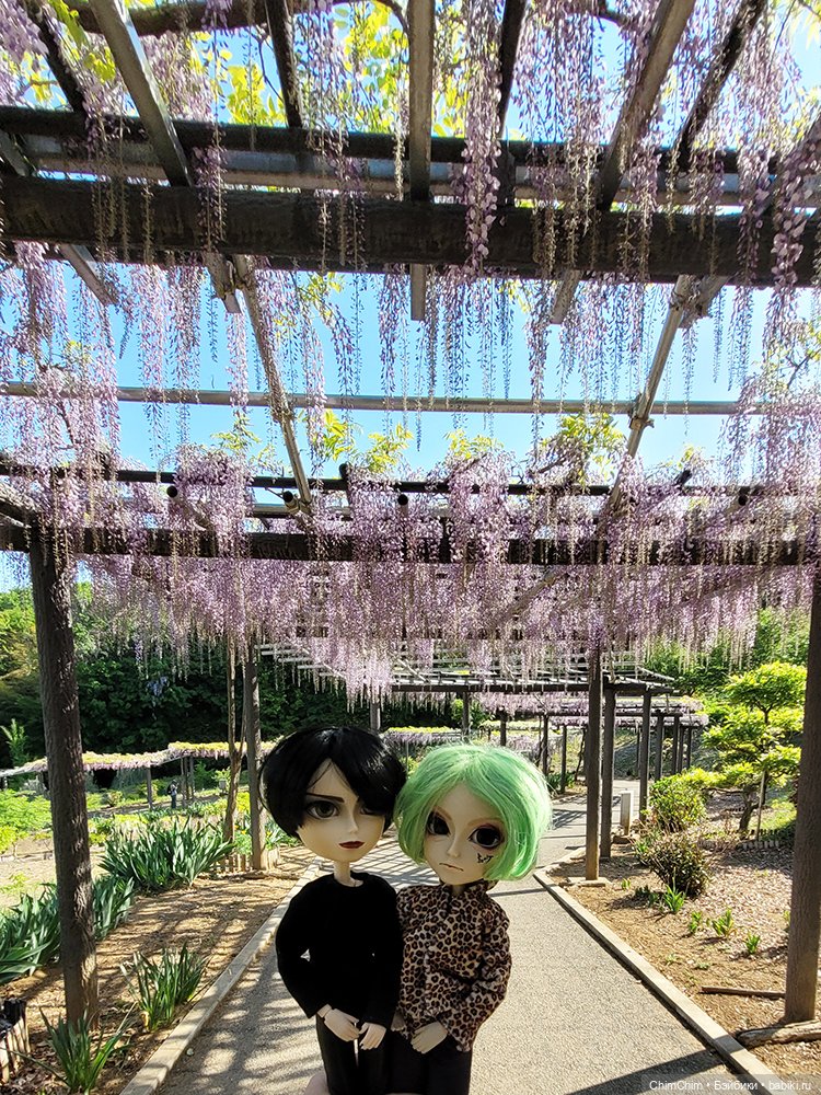 Как господин Имаи ездил в Японию за господином Сакураи. Часть 2