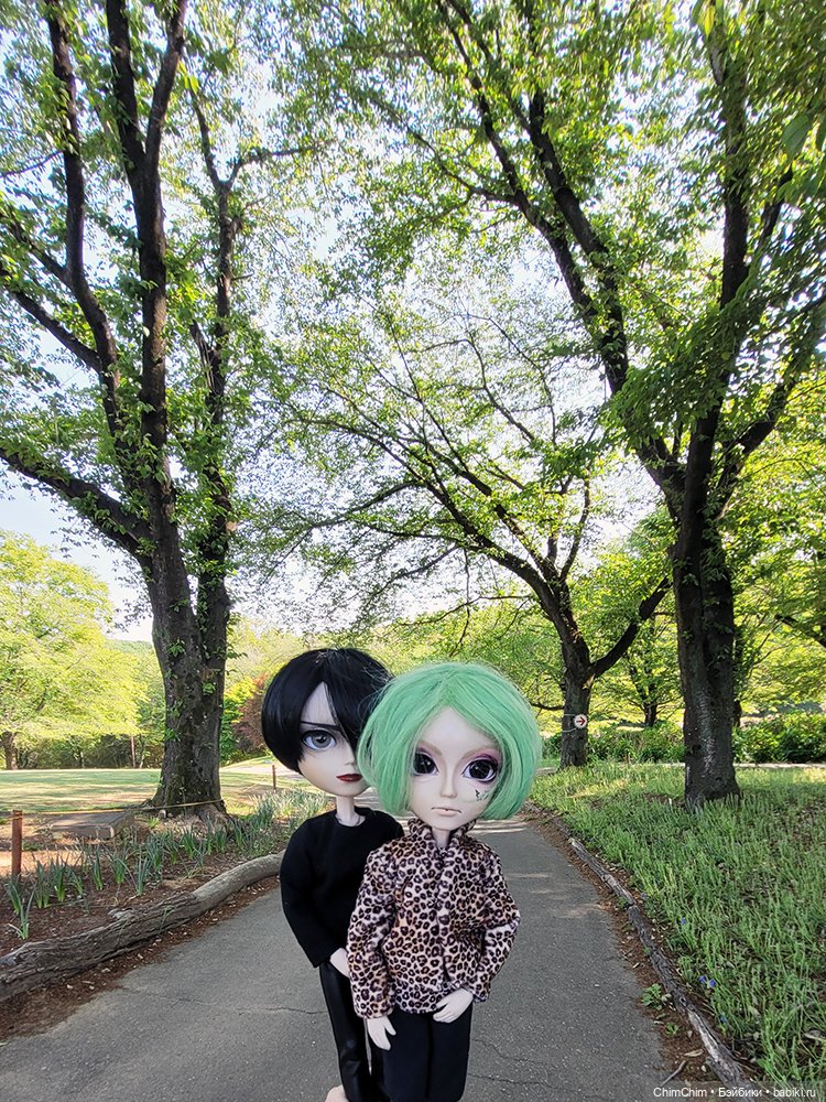 Как господин Имаи ездил в Японию за господином Сакураи. Часть 2