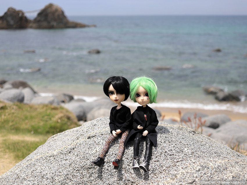 Как господин Имаи ездил в Японию за господином Сакураи. Часть 2