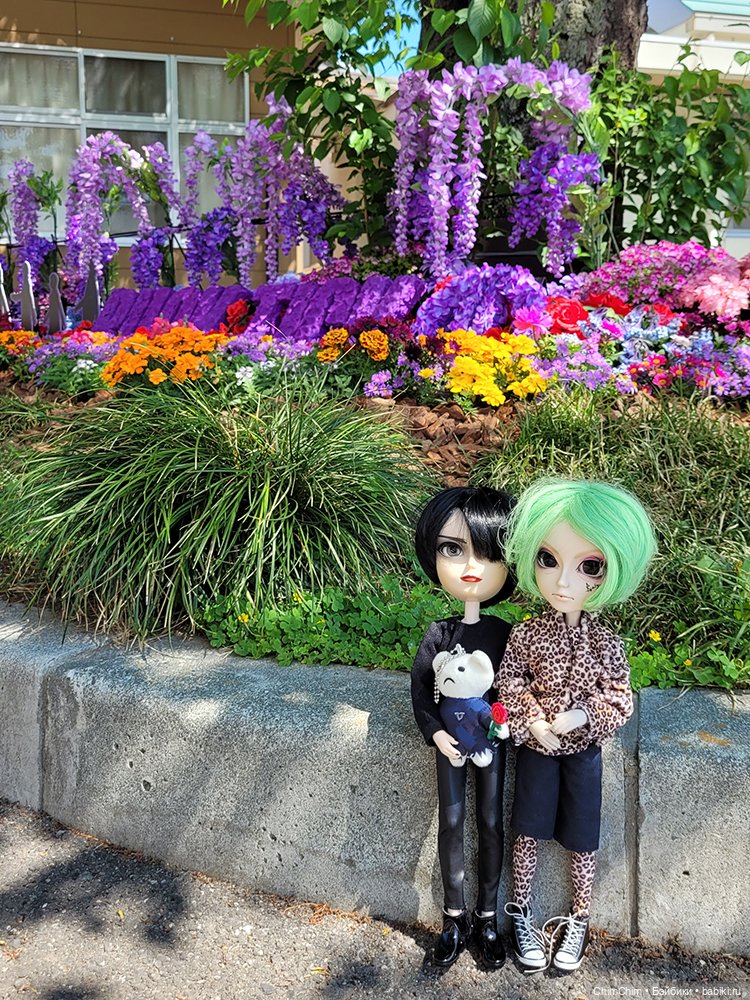 Как господин Имаи ездил в Японию за господином Сакураи. Часть 2 (фото 9)