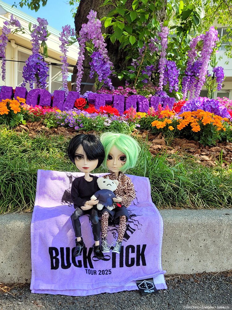 Как господин Имаи ездил в Японию за господином Сакураи. Часть 2 (фото 8)