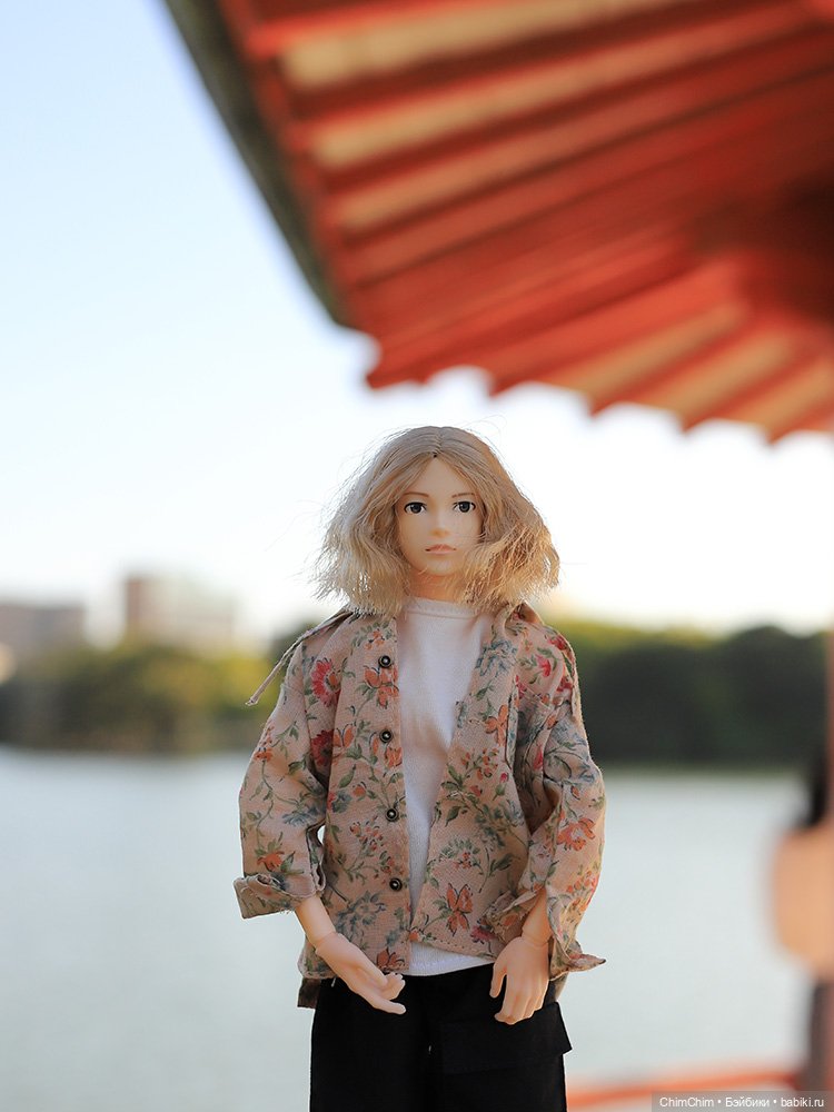 Мои новенькие — Куклы Momoko и Ruruko (Petworks