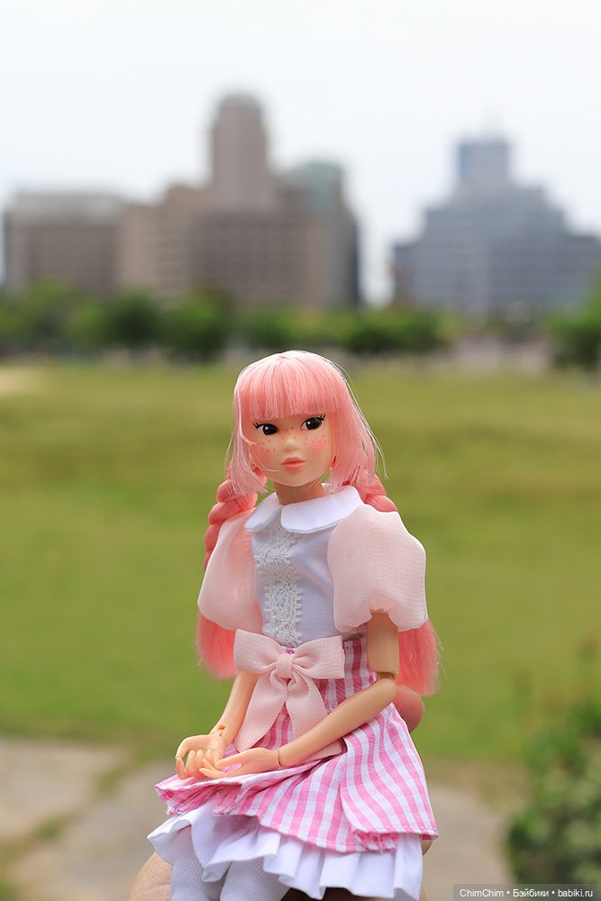 Мои новенькие — Куклы Momoko и Ruruko (Petworks (фото 10)