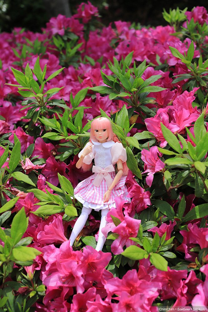 Мои новенькие — Куклы Momoko и Ruruko (Petworks (фото 9)