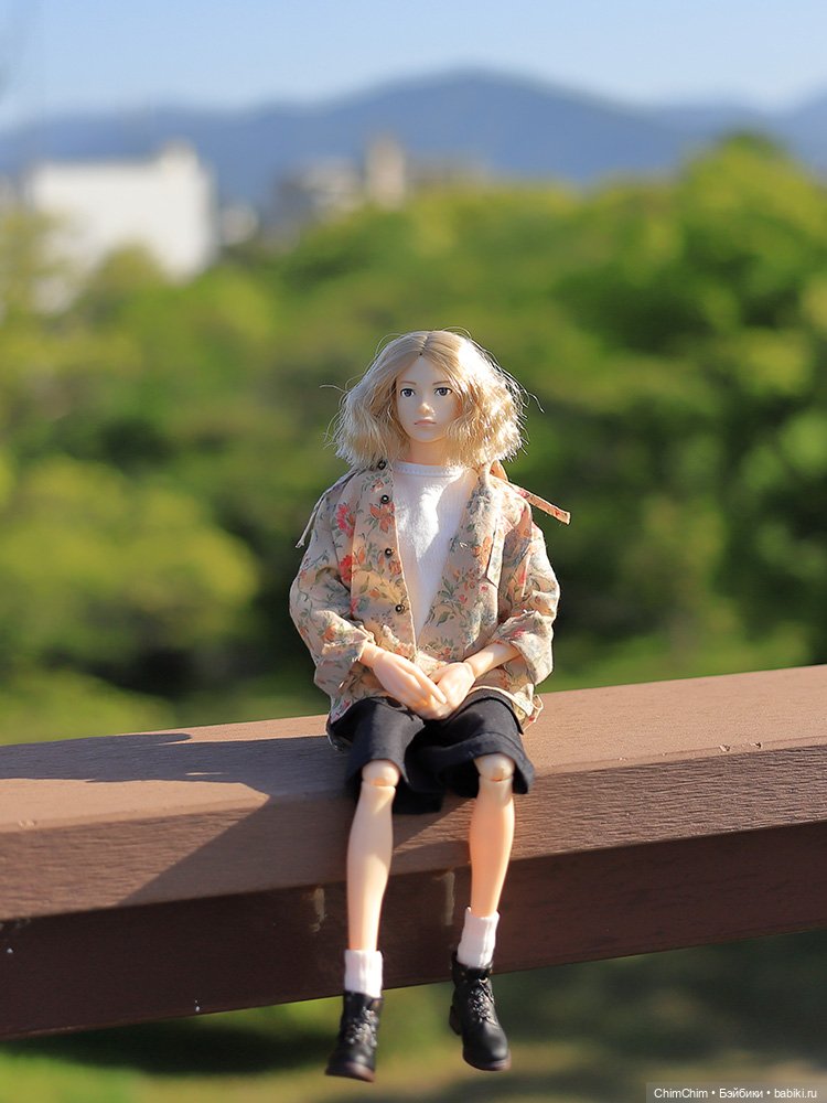 Мои новенькие — Куклы Momoko и Ruruko (Petworks